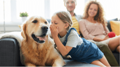 ペット・モデル撮影