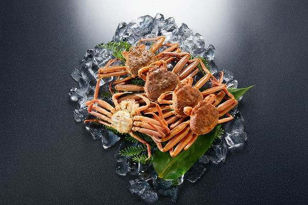 物撮り・商品撮影現場